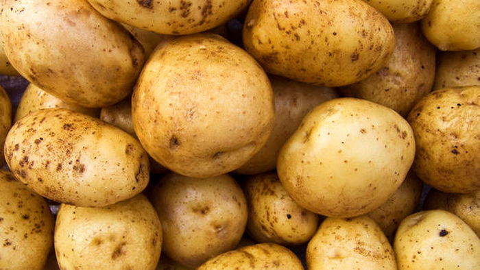 Почему появляется парша на картофеле: как избавиться за один раз