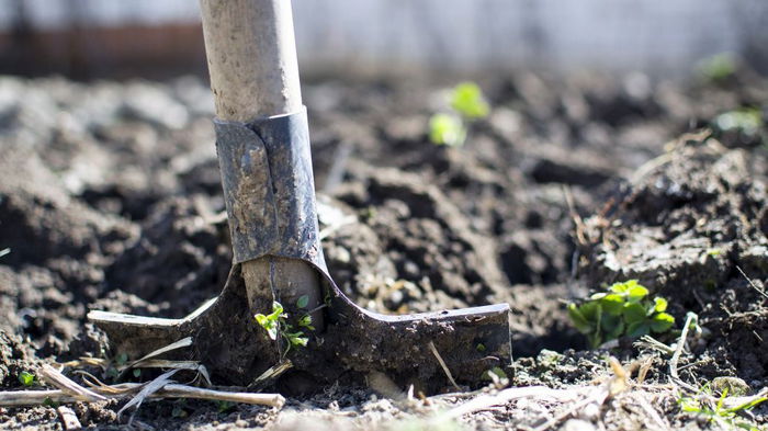Копать или не копать: разбираемся, что делать с огородом осенью