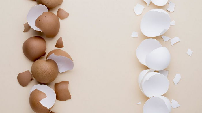 Не выбрасывайте яичную скорлупу: она поможет вывести любые пятна – вы будете довольны результатом