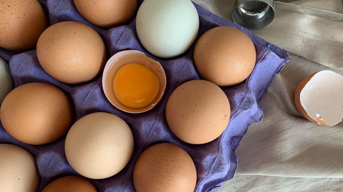 Сколько и как правильно хранить сырые яйца: помытые и немытые