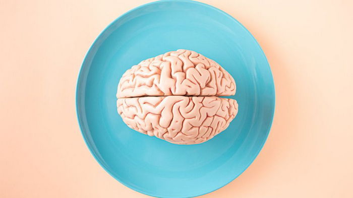 Омолодится мозг и улучшится память в любом возрасте: добавьте два продукта в рацион
