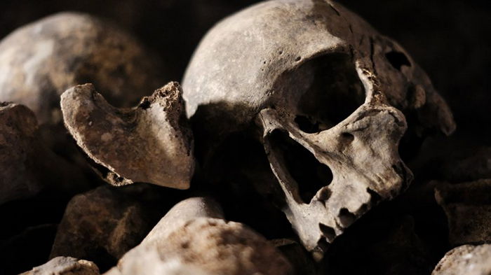 50 оттенков смерти: что произойдет с нашим телом, когда мы умрем