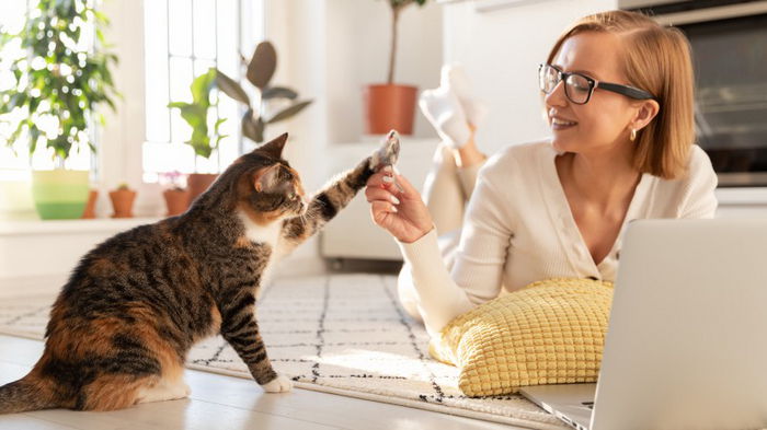 Зачем нужно разговаривать с кошкой: четыре главные причины