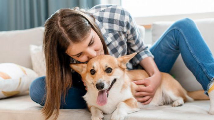 Ветеринар назвала скрытые признаки боли у собаки, которые владельцы часто не замечают