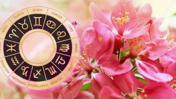 Таро-гороскоп на неделю: каким знакам Зодиака ждать счастья, а ка...