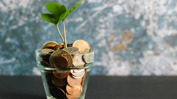 Сэкономите большие деньги: шесть старомодных советов, которые до сих пор работают