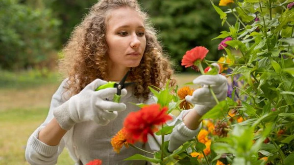 8 распространенных ошибок в садоводстве, которые вредят растениям