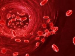 Как повысить уровень гемоглобина в крови