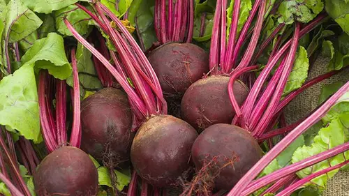 Как вырастить вкусную свеклу: советы для богатого урожая