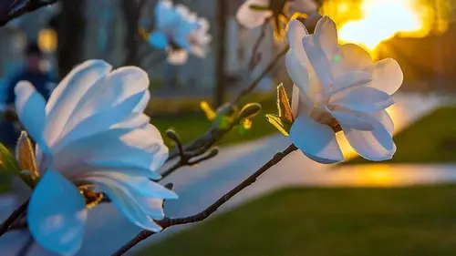 Гороскоп на неделю: для всех знаков зодиака