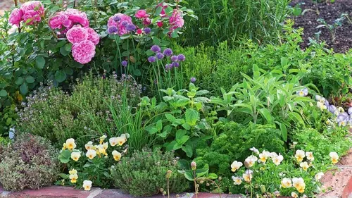 Как избавиться от травы на клумбе навсегда: эксперты перечислили все с...