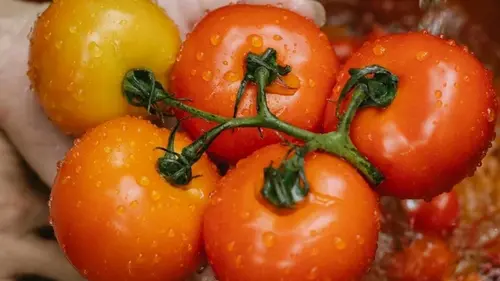 Не делайте этого во время мытья помидоров: одна ошибка способна н...