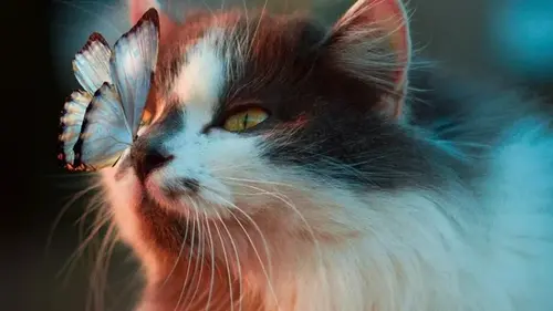 Как научиться управлять эмоциями: советы психологов