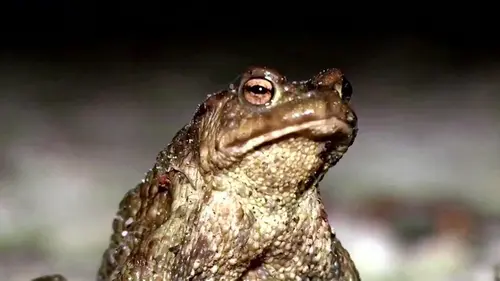 Случайность или удача: специалисты по фэн-шуй объяснили, что озна...