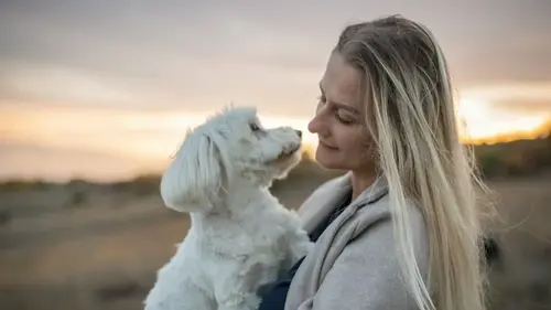 Десять простых способов избавиться от шерсти домашних животных на...