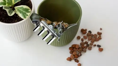 Эксперты развенчали популярный миф: камни на дне горшка могут пог...