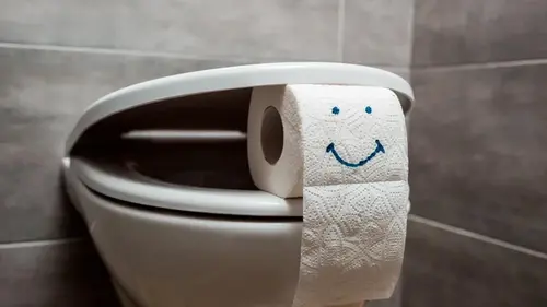 Какую туалетную бумагу можно смывать в унитаз, а какую — нет: что...