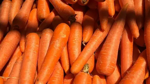 Самые сладкие сорта моркови: какую посадить для щедрого и вкусног...