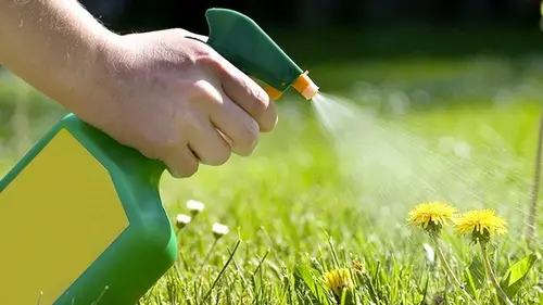 Как избавиться от сорняков на огороде без химии: чем полить расте...