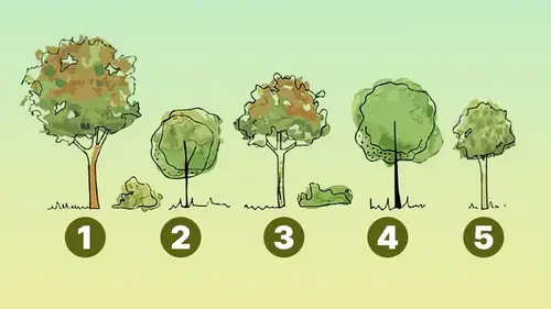 Быстрый тест на эгоизм: какое дерево посадите у дома — нарциссы д...