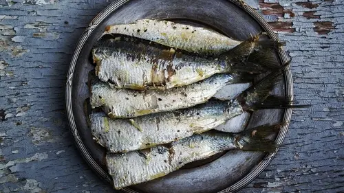 Названа самая недооцененная рыба: вкусная, недорогая и полезнее л...