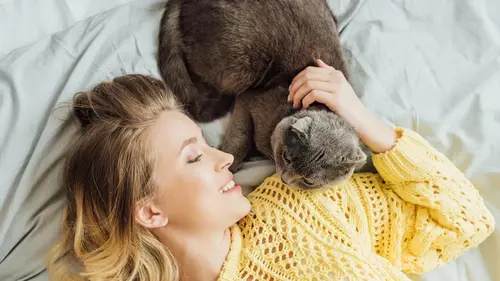 Сколько времени нужно уделять коту каждый день: ветеринары дали о...