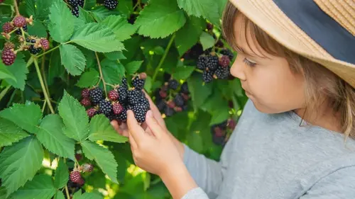 8 продуктов, в которых магния намного больше, чем в ежевике