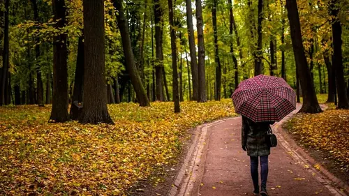 Почему у нас ухудшается настроение, когда раньше темнеет: что на ...