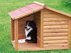 Как сделать укромную будку для собаки