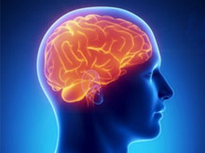 Как подготовится к МРТ головного мозга?