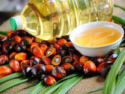 Чем вредно пальмовое масло?