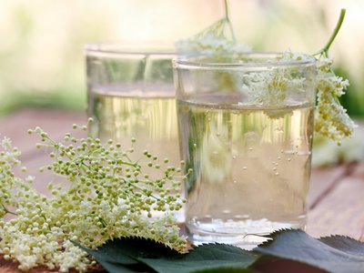 Квас из бузины: рецепт ароматного летнего напитка