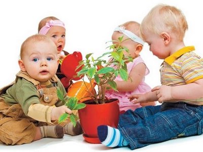 Какие растения стоит держать в детской комнате