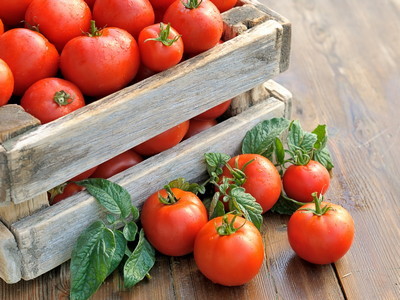 Как правильно собрать семена томатов?