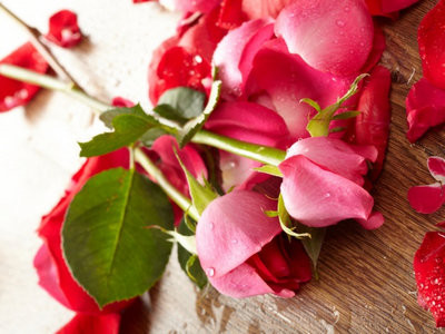 Как правильно посадить розу из букета