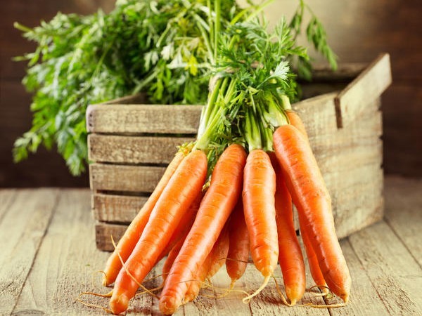 Как правильно сохранить морковь до весны