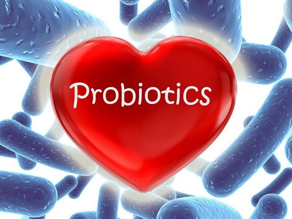 Пробиотики — полезные бактерии для человека