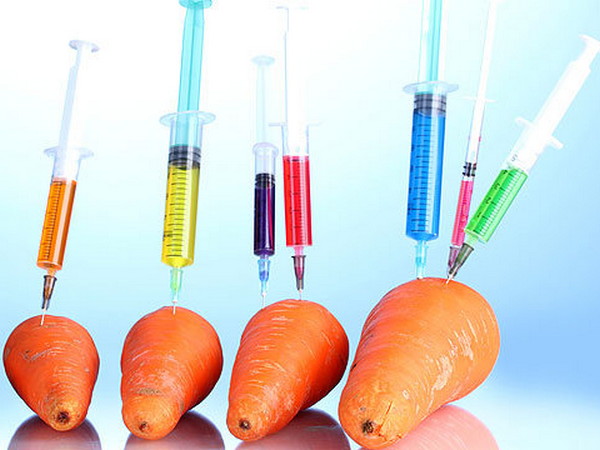 Геномодифицированные продукты — вред или польза?