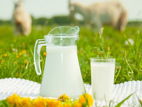 Сухое козье молоко – польза и вред для малыша