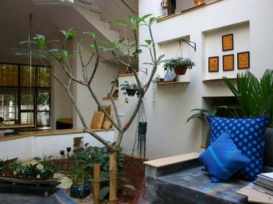 Как красиво дополнить интерьер с помощью комнатных растений