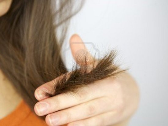 Почему секутся кончики волос и что делать, чтобы этого не допустить? Советы