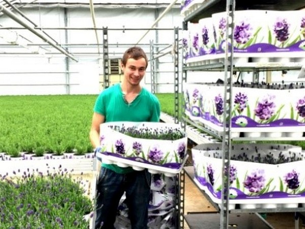 Практика в Дании от компании «Agrossuccess»