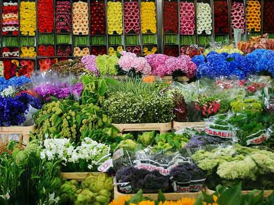 Бизнес: продажа цветов оптом