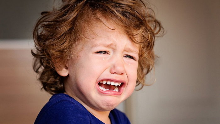 Ребенок от 1 года до 3 лет: можно ли жить без плача?